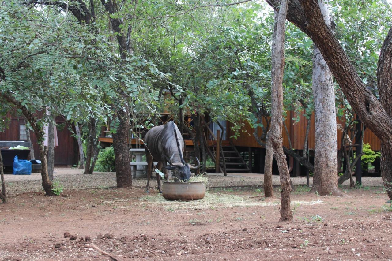Bush Break @ 3990 Marloth Park Villa Exterior photo